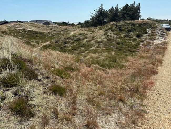 Arvidvej 36, Bjerregaard