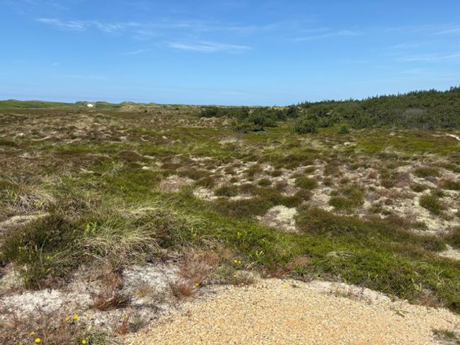 Arvidvej 44, Bjerregaard, 6960 Hvide Sande