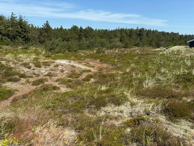 Arvidvej 34, Bjerregaard, 6960 Hvide Sande